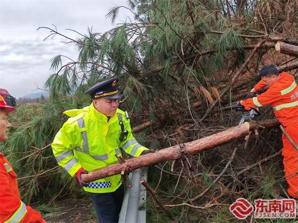 泰寧中隊執(zhí)法員聯(lián)合養(yǎng)護部門清理倒伏樹木.jpg 泰寧中隊執(zhí)法員聯(lián)合養(yǎng)護部門清理倒伏樹木.jpg