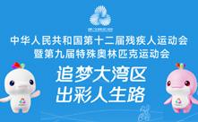 全國第十二屆殘疾人運動會