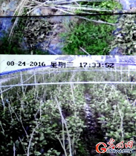 【網(wǎng)絡媒體走轉(zhuǎn)改】搭上“互聯(lián)網(wǎng)+”快車 江西革命老區(qū)煥發(fā)新光彩