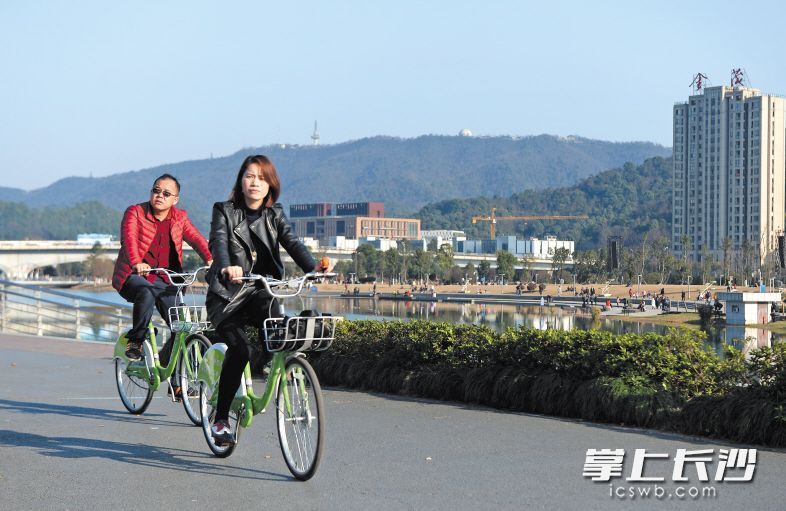 梅溪湖畔，市民們騎著共享單車賞景。長沙晚報(bào)記者 鄒麟 攝